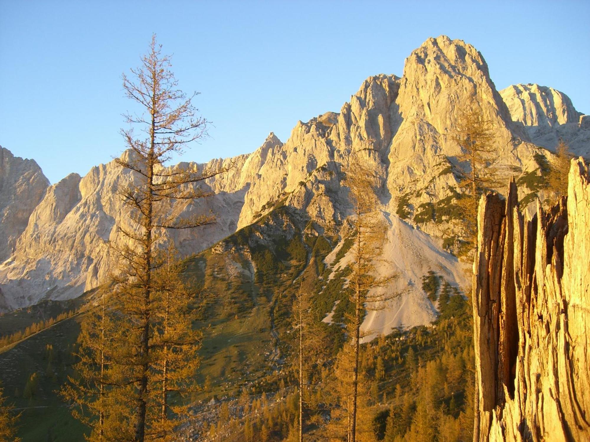 Gasthof Hunerkogel Hotel รัมเซา อัม ดาคชไตน์ ภายนอก รูปภาพ