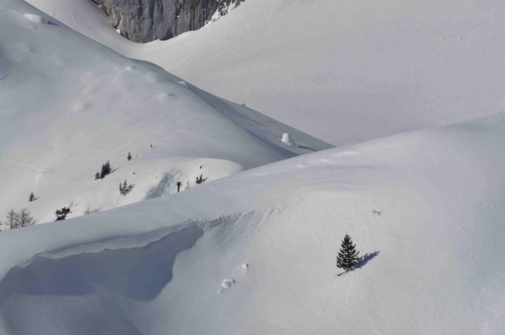 Gasthof Hunerkogel Hotel รัมเซา อัม ดาคชไตน์ ภายนอก รูปภาพ